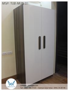 Tủ 2 cánh phối melamine vân gỗ mun và màu trắng