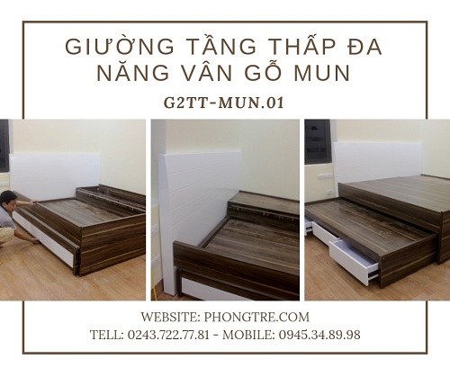 Giường tầng thấp đa năng phối màu trắng và vân gỗ mun tự nhiên G2TT-MUN.01 có tủ kho và 3 ngăn kéo